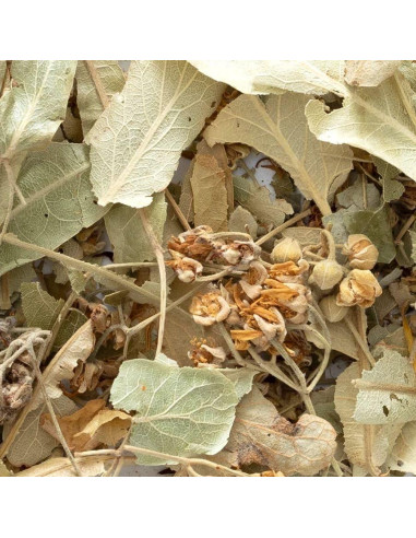 Flores de Tilo a Granel Frontier Co-op 226.8 Gramos