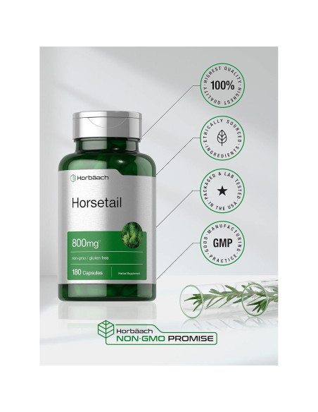 Cápsulas de Cola de Caballo Horbaach 800mg - 180 Unidades