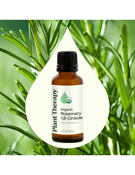 Aceite Esencial de Romero Orgánico 30 mL Plant Therapy Puro