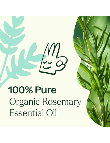 Aceite Esencial de Romero Orgánico 30 mL Plant Therapy Puro