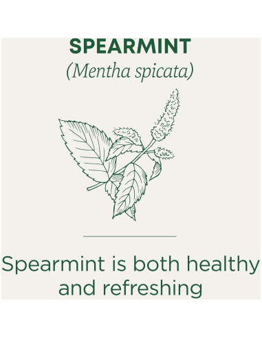 Té Medicinal Tradicional Menta Verde Orgánica 96 Bolsitas