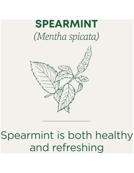 Té Medicinal Tradicional Menta Verde Orgánica 96 Bolsitas