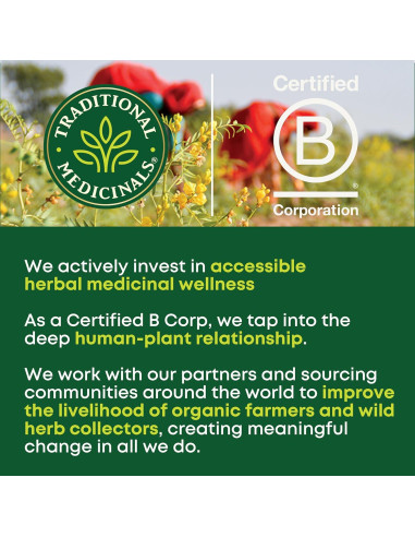 Té Medicinal Tradicional Menta Verde Orgánica 96 Bolsitas