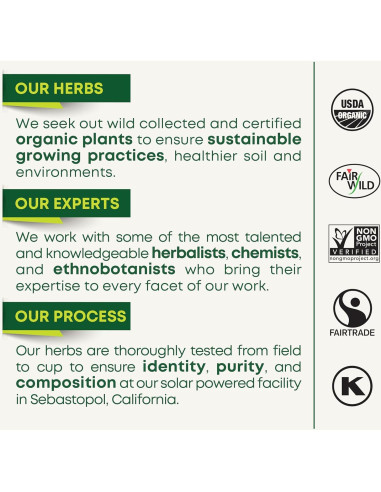 Té Medicinal Tradicional Menta Verde Orgánica 96 Bolsitas