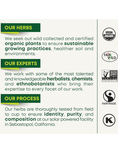 Té Medicinal Tradicional Menta Verde Orgánica 96 Bolsitas