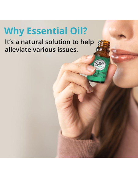 Aceite Esencial de Romero 100% Puro Wild Essentials 10ml Aceite Esencial de Romero 100% Puro Wild Essentials 10ml