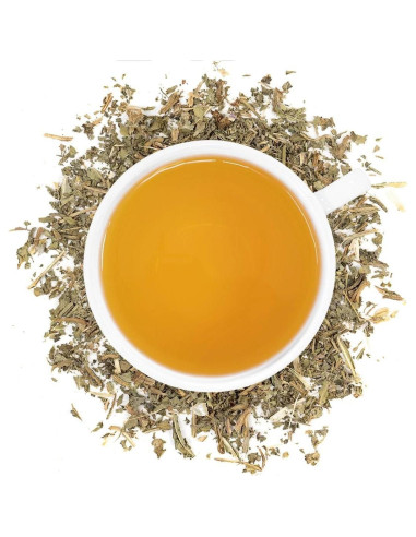 Té Cardo Bendito Orgánico 56.7g - Full Leaf Tea Co.