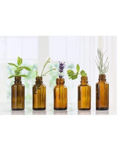 Aceite Esencial de Ciruela Asiática 100% Puro Nature's Note 236 ml