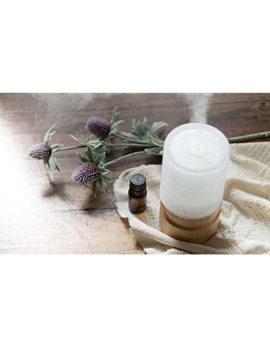 Aceite Esencial de Ciruela Asiática 100% Puro Nature's Note 236 ml