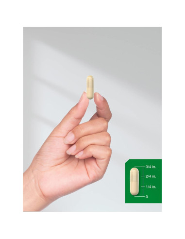 Cápsulas de Canela Horbaach 1800mg - Suplemento Vegetariano