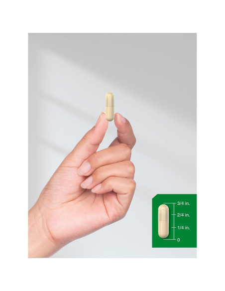 Cápsulas de Canela Horbaach 1800mg - Suplemento Vegetariano