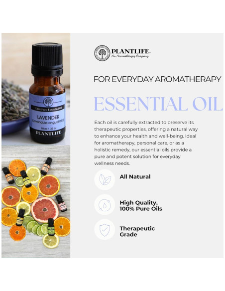 Aceite Esencial de Comino Plantlife 10 ml 100% Puro Terapéutico Aceite Esencial de Comino Plantlife 10 ml 100% Puro Terapéutico