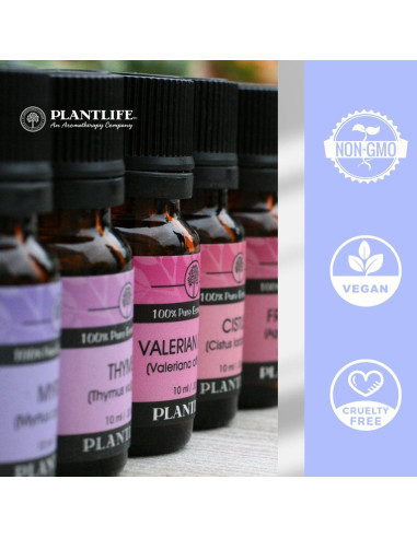 Aceite Esencial de Comino Plantlife 10 ml 100% Puro Terapéutico