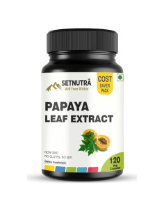 Cápsulas de Hoja de Papaya 500mg Urmi Lifesciences 120 Veganas