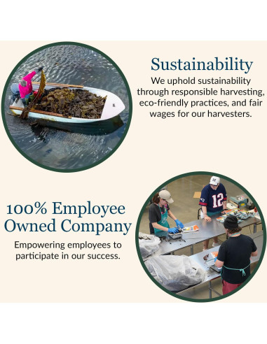 Copos de Dulse Orgánicos Maine Coast 113 g - Snacks Saludables