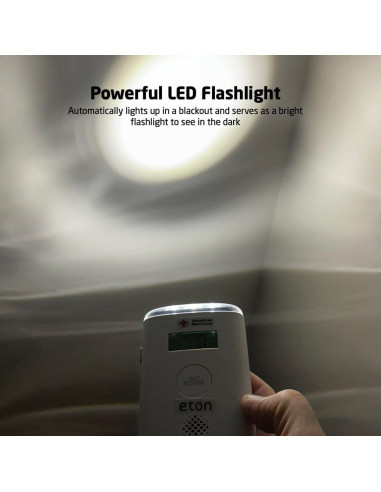 Detector de Monóxido de Carbono Eton ARCBBCO30W con Pantalla LCD