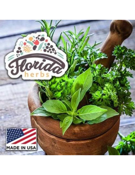 Extracto de Tintura de Reina de los Prados Florida Herbs 59.15 ml