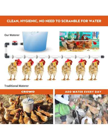 Sistema Automático de Bebederos para Pollos Ayakol 8 Tazas Rojo