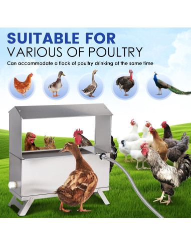 Dispensador Automático de Agua para Pollos LZWUNYXE 6L Acero Inoxidable