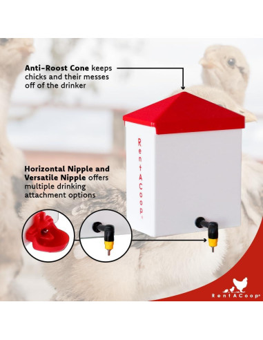 Bebedero Automático RentACoop 2L con 2 Picos para Aves