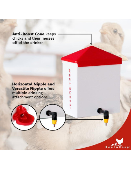 Bebedero Automático RentACoop 2L con 2 Picos para Aves