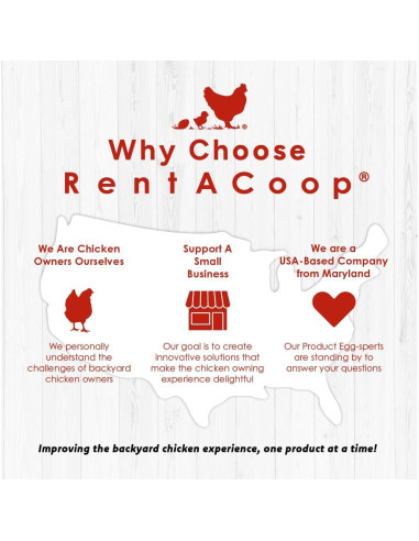 Bebedero Automático RentACoop 2L con 2 Picos para Aves