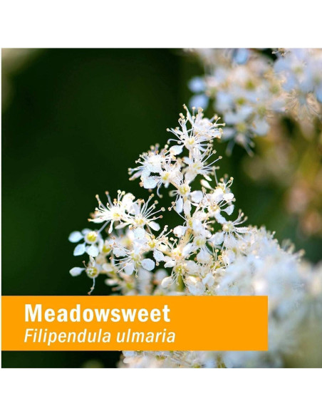 Extracto Líquido de Meadowsweet Orgánico Herb Pharm 29.57 ml