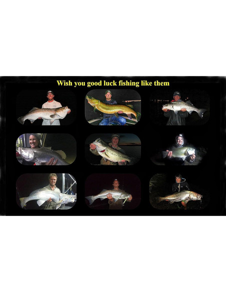 Palos de Luz para Pesca TRZLIFE 100pcs 3.81cm Alta Visibilidad