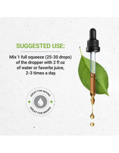 Extracto de Boldo Orgánico USDA 59 ml - Secretos de la Tribu