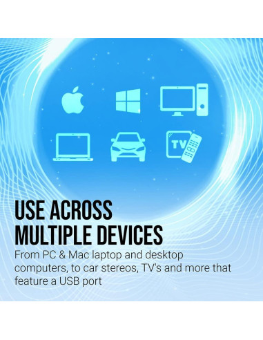 Unidad Flash PNY Turbo Attaché 3 USB 3.0 256GB Plata (Paquete de 2)