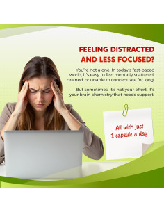 Cápsulas de Yerba Mate PeakPury - 150 Unidades - Energía Natural 2