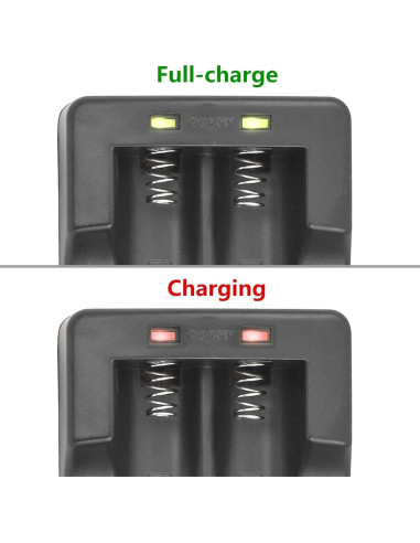 Batería y Cargador Kastar para Estabilizadores Feiyu AK2000/AK4000