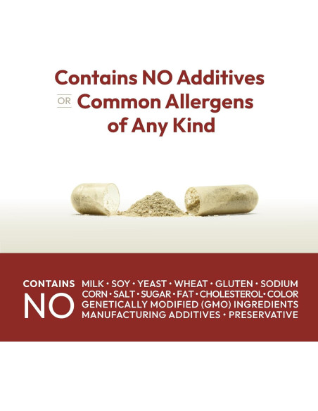 Suplemento de Hierro Plus Andrew Lessman 90 Cápsulas 18mg