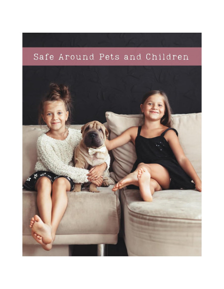 Spray para Cabello y Cuerpo Kailuna Co. Baby Powder 14.79 ml Spray para Cabello y Cuerpo Kailuna Co. Baby Powder 14.79 ml