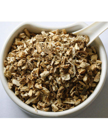 Té Herbal de Raíz de Angélica Orgánica 50g - Shender Group