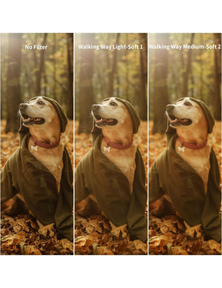 Filtro de Difusión Pro Mist 37mm Walking Way - Efecto Niebla Filtro de Difusión Pro Mist 37mm Walking Way - Efecto Niebla