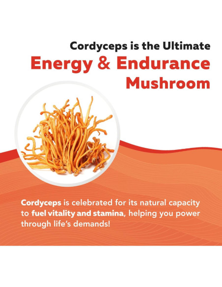 Cápsulas de Extracto de Hongo Cordyceps Orgánico - 60 Unidades - 70% Beta Glucanos