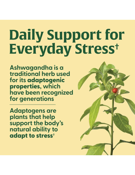 MegaFood Suplemento para Tiroides 60 Tabletas Vegetariano MegaFood Suplemento para Tiroides 60 Tabletas Vegetariano