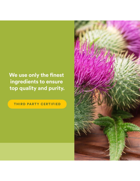 Cápsulas de Cardo Mariano HerbalFactors 90 unidades - Apoyo Hepático