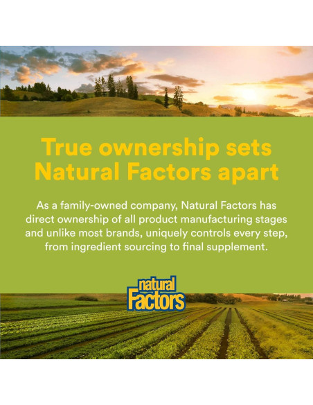 Cápsulas de Cardo Mariano HerbalFactors 90 unidades - Apoyo Hepático