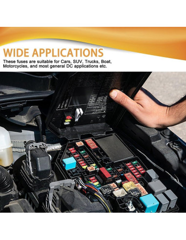 Kit de Fusibles Automotrices PACLVIO 10 Piezas 5A-30A