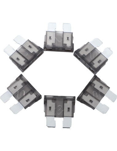 Paquete de 100 Fusibles Automáticos 2A JESUNK para Coche