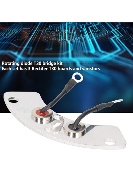 Juego de Diodos Rectificadores T30 LiebeWH para Generador