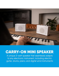 Altavoz Mini Amplificador Portátil Carry-On CO-SPEAKER 3W 2
