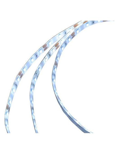 Tira LED 5m IP65 300 SMD2835 12V 24W Blanco LEDwholesalers