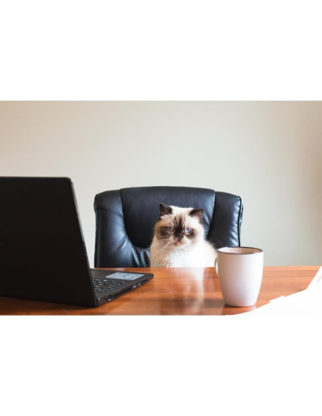 Cable USB 3.0 Tipo A a Tipo C 1.52m OMNIHIL - Alta Velocidad