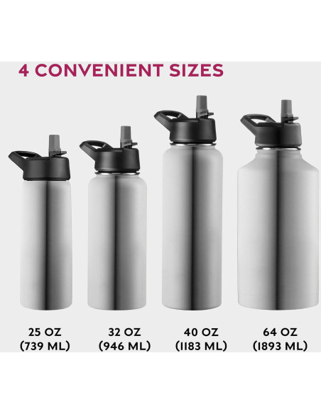 Botella de Agua Aislada BREFR 25 Oz Acero Inoxidable Plateado Botella de Agua Aislada BREFR 25 Oz Acero Inoxidable Plateado