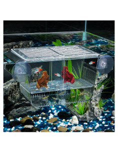 Caja de Cría Mediana Pawfly para Alevines de Peces 14x9.1x9.9cm