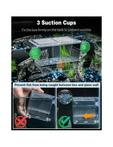 Caja de Cría Mediana Pawfly para Alevines de Peces 14x9.1x9.9cm