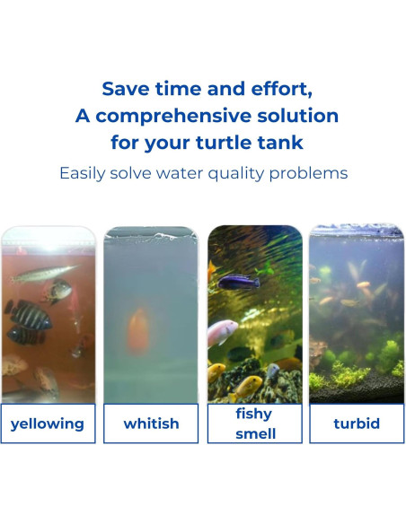 Anillo de Alimentación Flotante Homedy para Tortugas y Peces L Anillo de Alimentación Flotante Homedy para Tortugas y Peces L